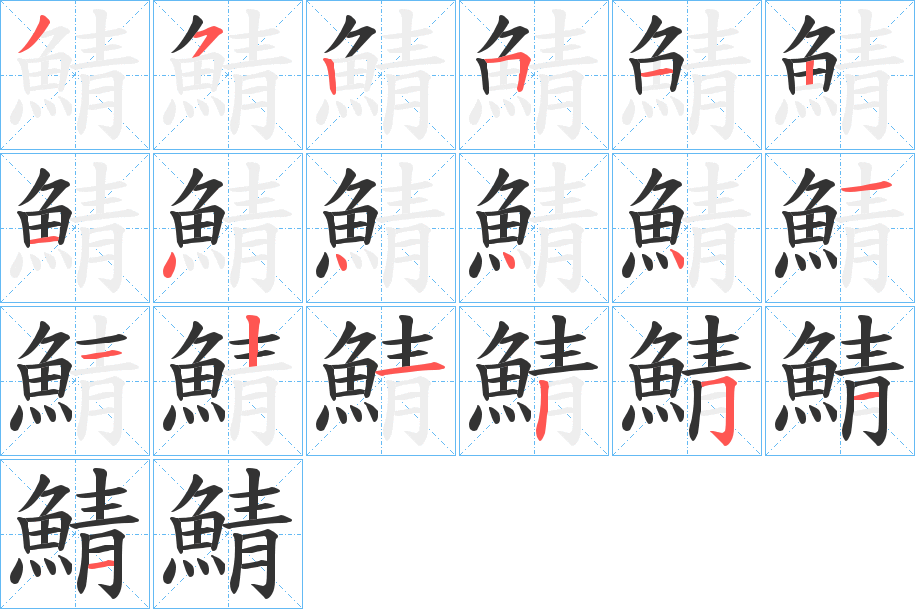 鯖字的笔顺分步演示