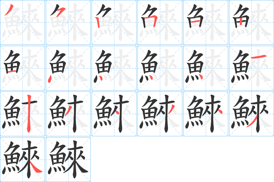 鯠字的笔顺分步演示