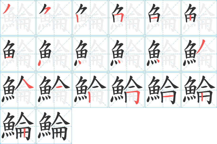 鯩字的笔顺分步演示