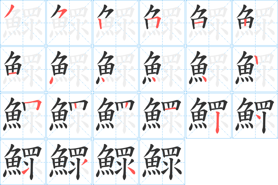 鰥字的笔顺分步演示