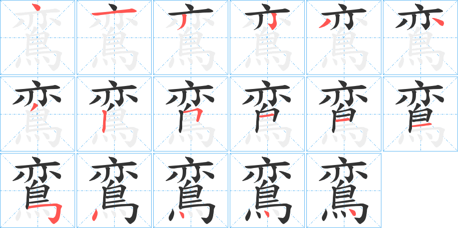 鵉字的笔顺分步演示