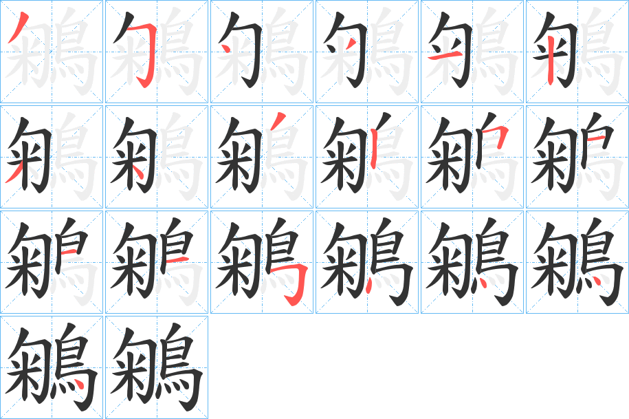 鵴字的笔顺分步演示