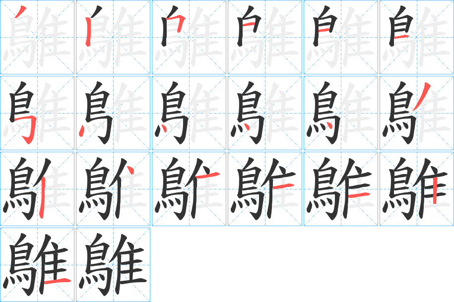 鵻字的笔顺分步演示