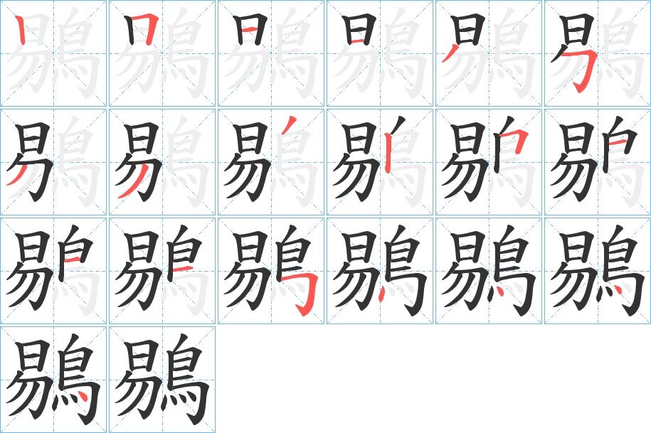 鶍字的笔顺分步演示