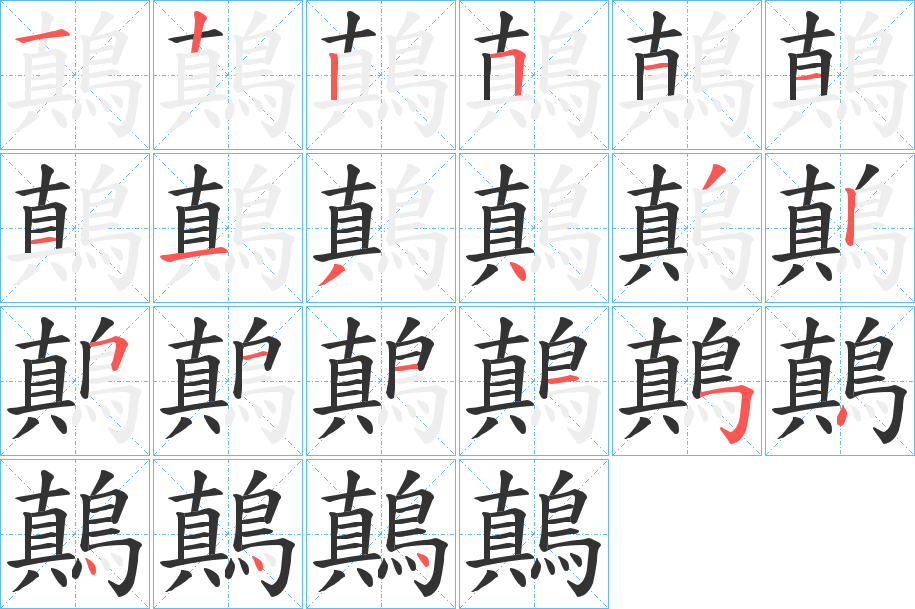 鷏字的笔顺分步演示