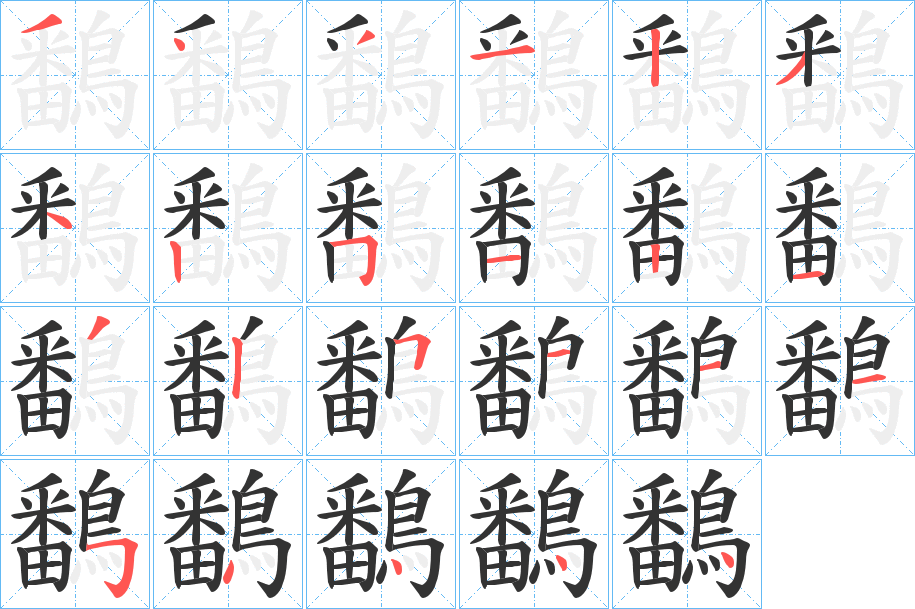 鷭字的笔顺分步演示