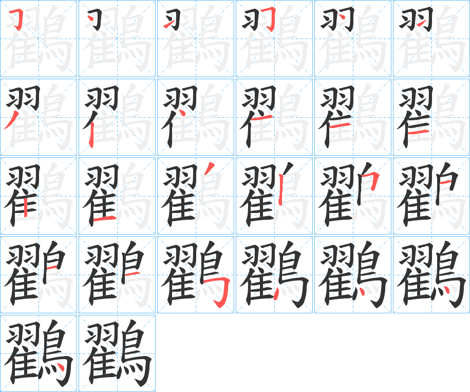 鸐字的笔顺分步演示